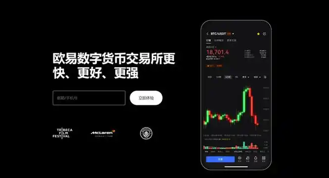 殴易交易所官网入口页面展示
